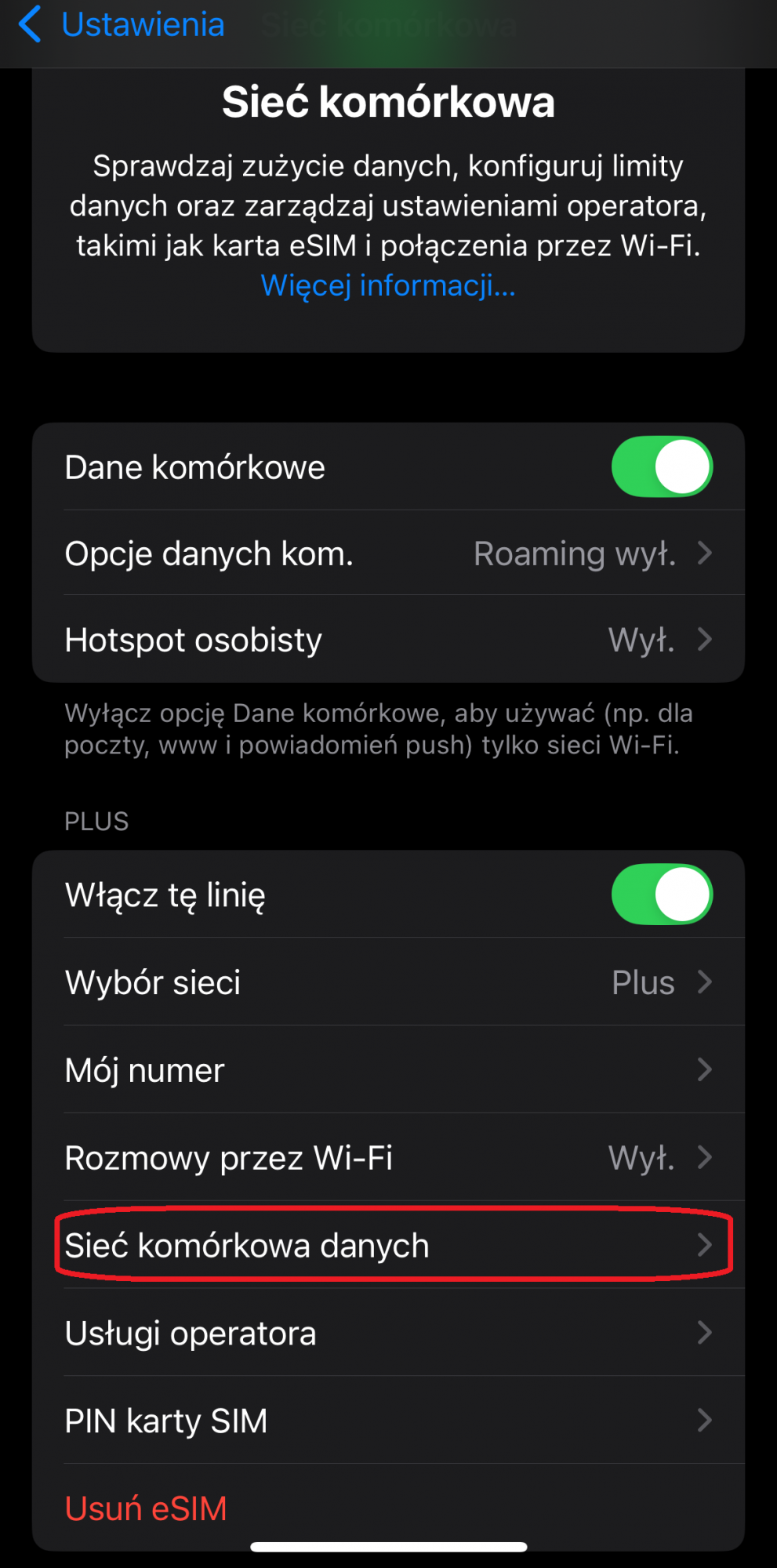 ekran ustawień sieci kom&oacute;rkowej w iphone